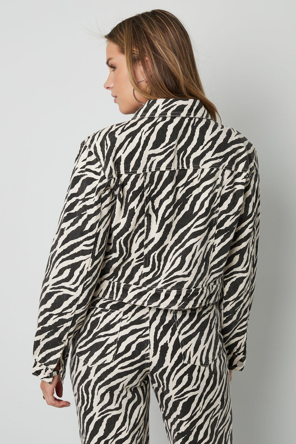 The Zebra Jacket