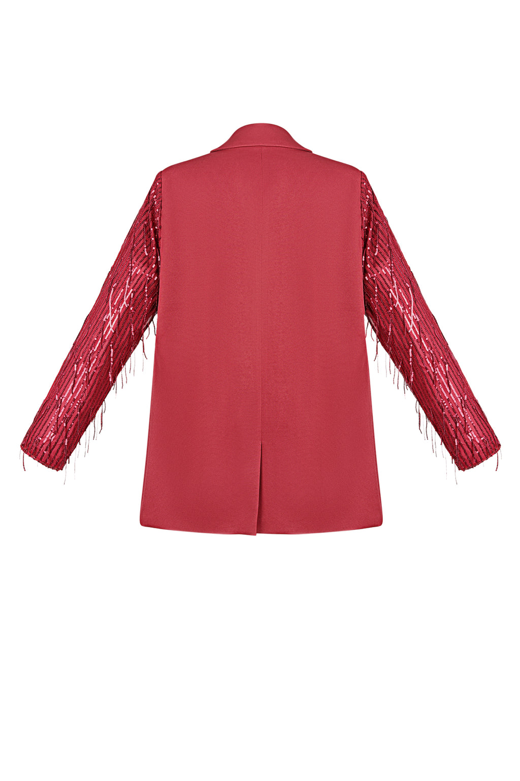 Blazer glitter sleeves