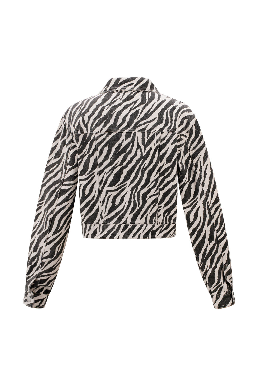 The Zebra Jacket