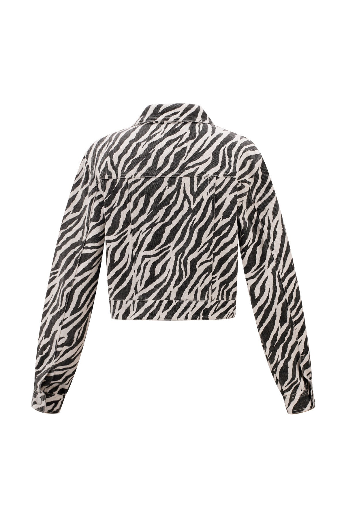 The Zebra Jacket